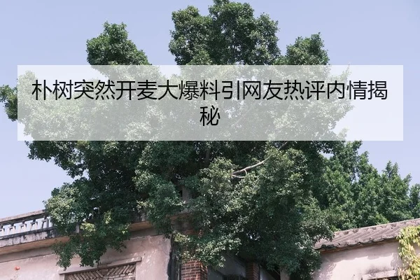 pu-shu-tu-ran-kai-mai-da-bao-liao-yin-wang-you-re-ping-nei-qing-jie-mi-2-661.jpg