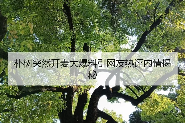 朴树突然开麦大爆料引网友热评内情揭秘