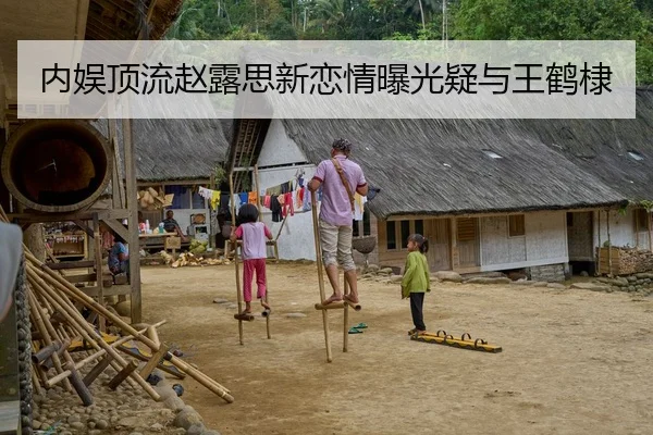 内娱顶流赵露思新恋情曝光疑与王鹤棣